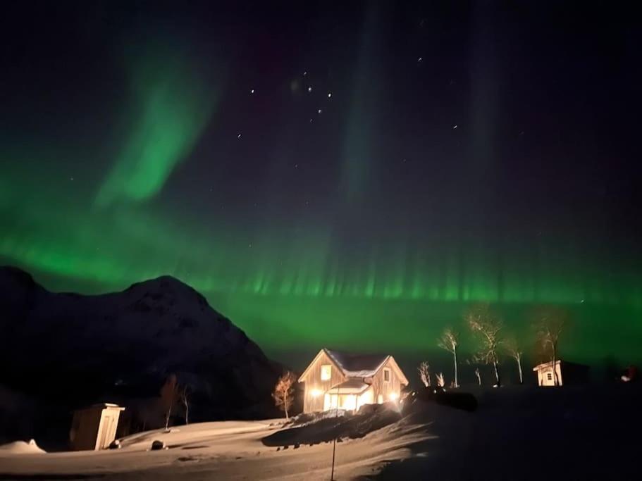 Lofoten and Vesterålen Kveldro