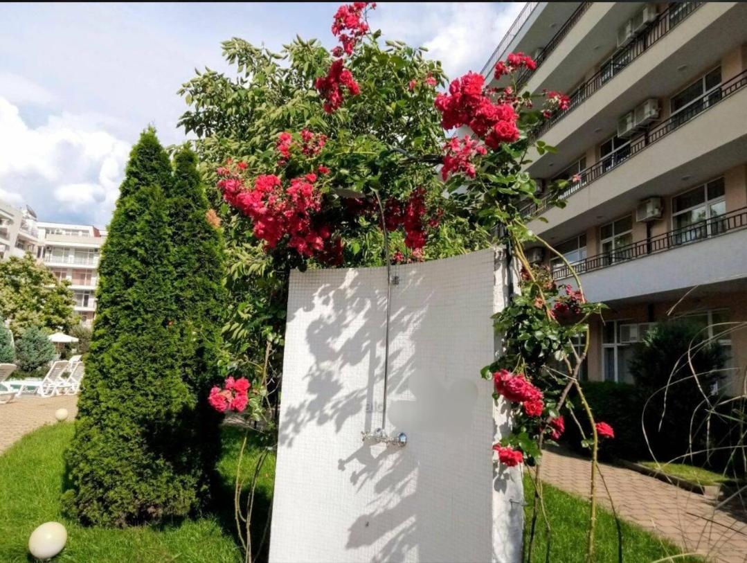 Grand Kamelia apartment Sunny Beach