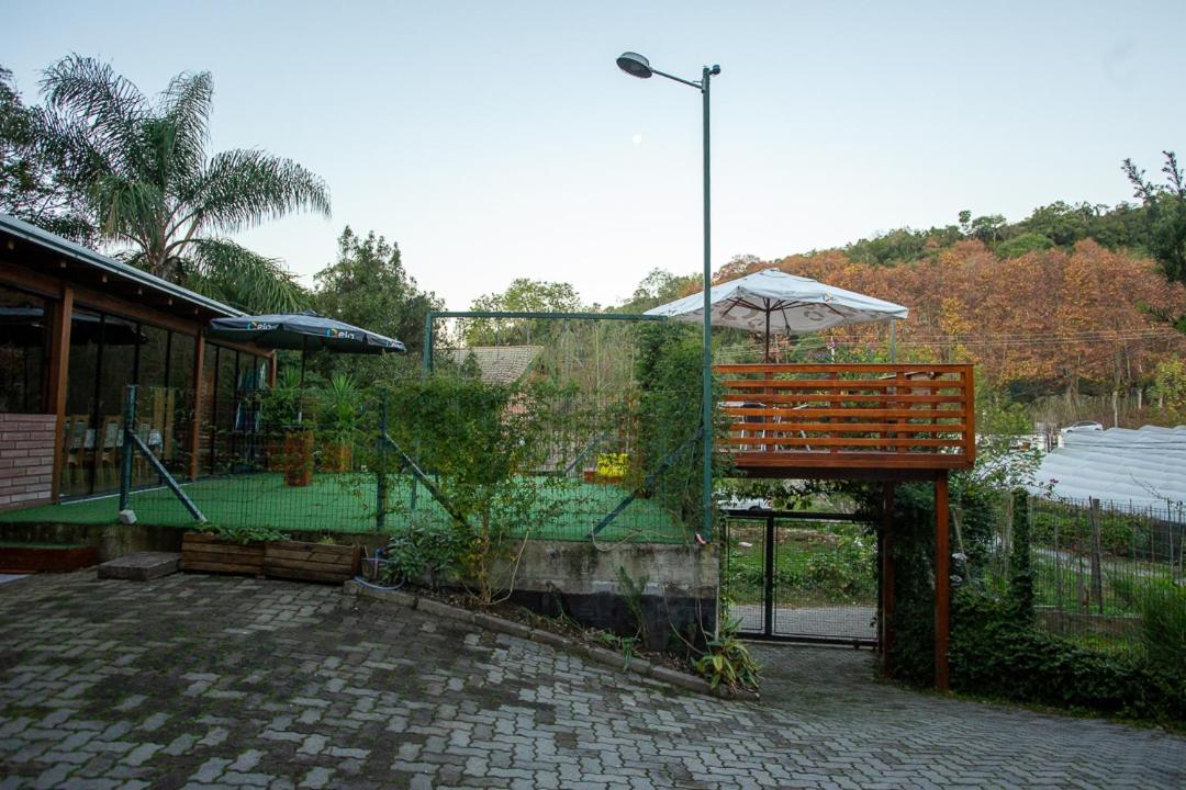Lar do Vale - Vinhedos