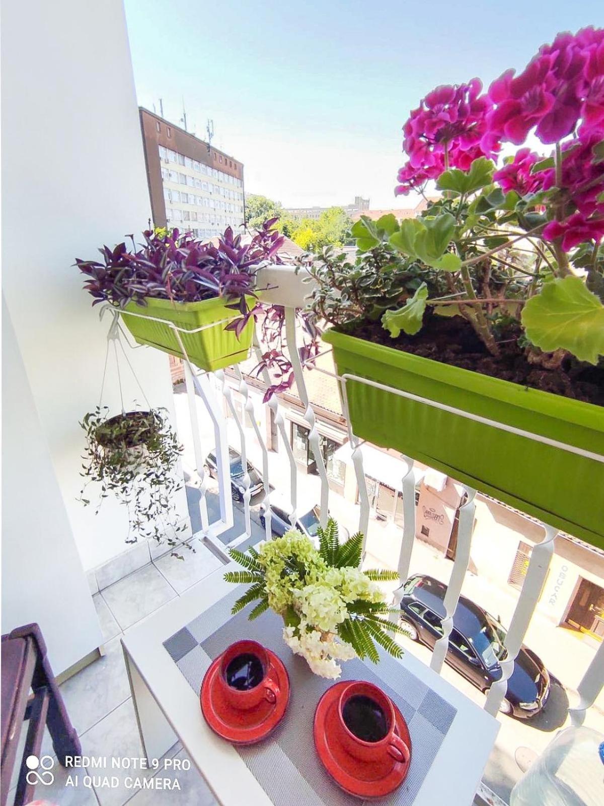Apartman Vladimir