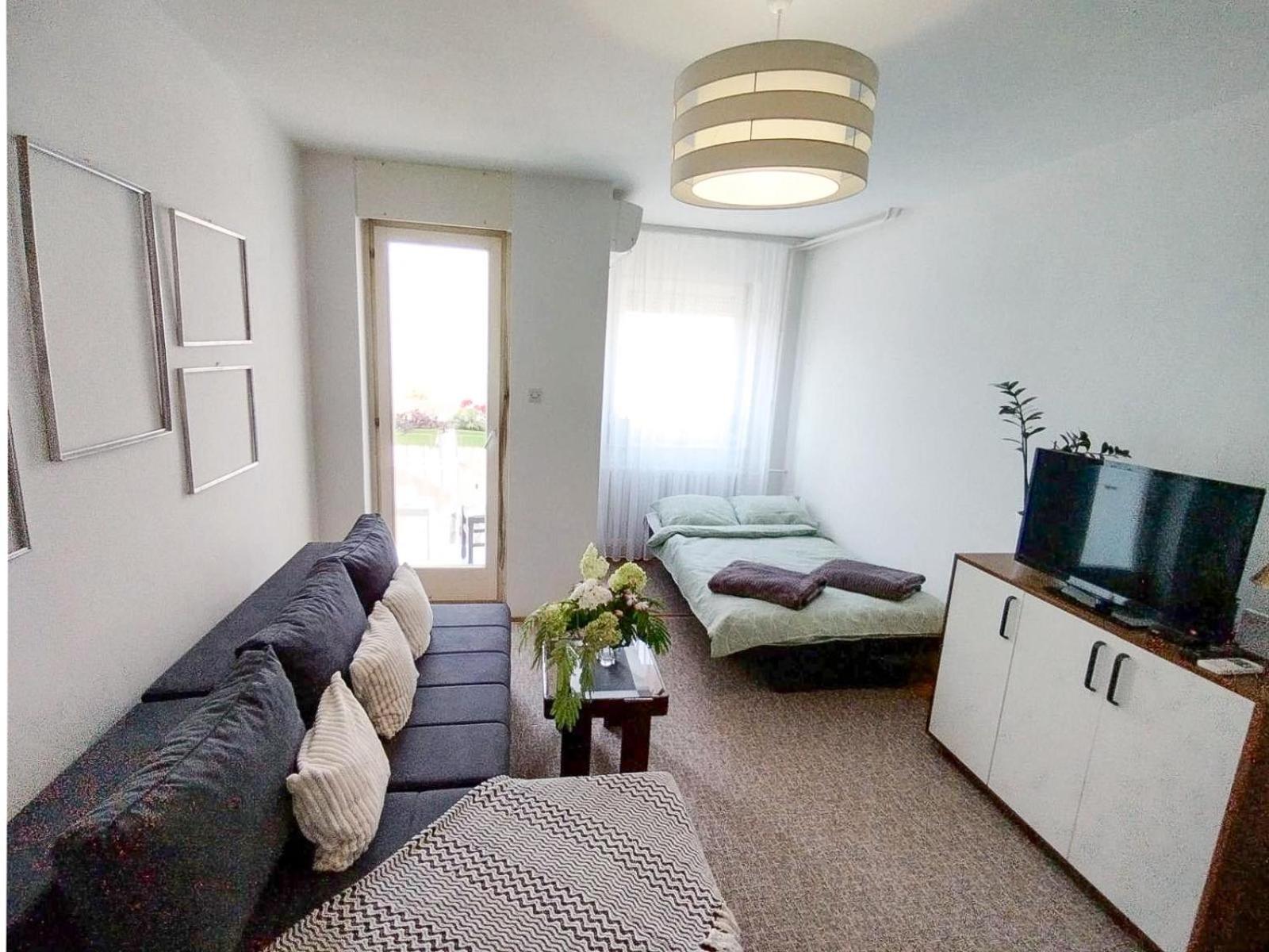 Apartman Vladimir