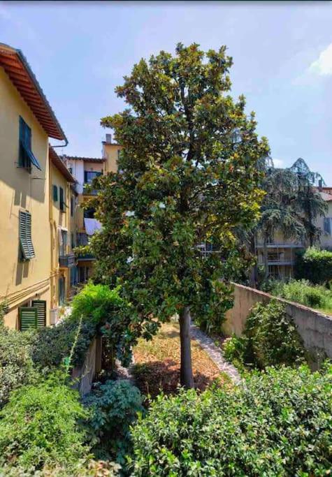 Florence City Suite