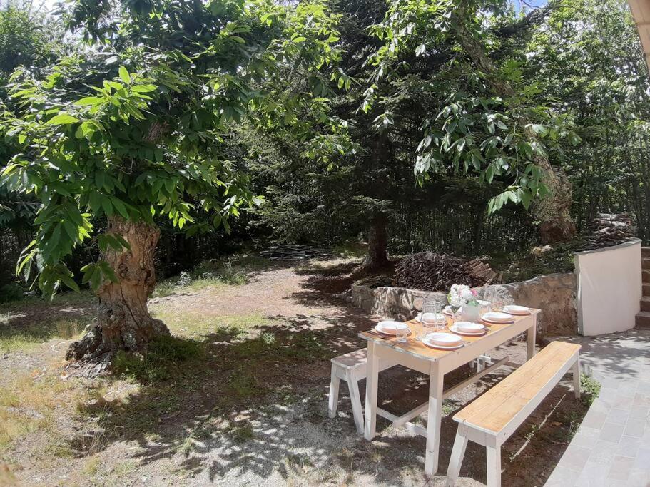 Casa del Castagno: un nido nel castagneto view 5