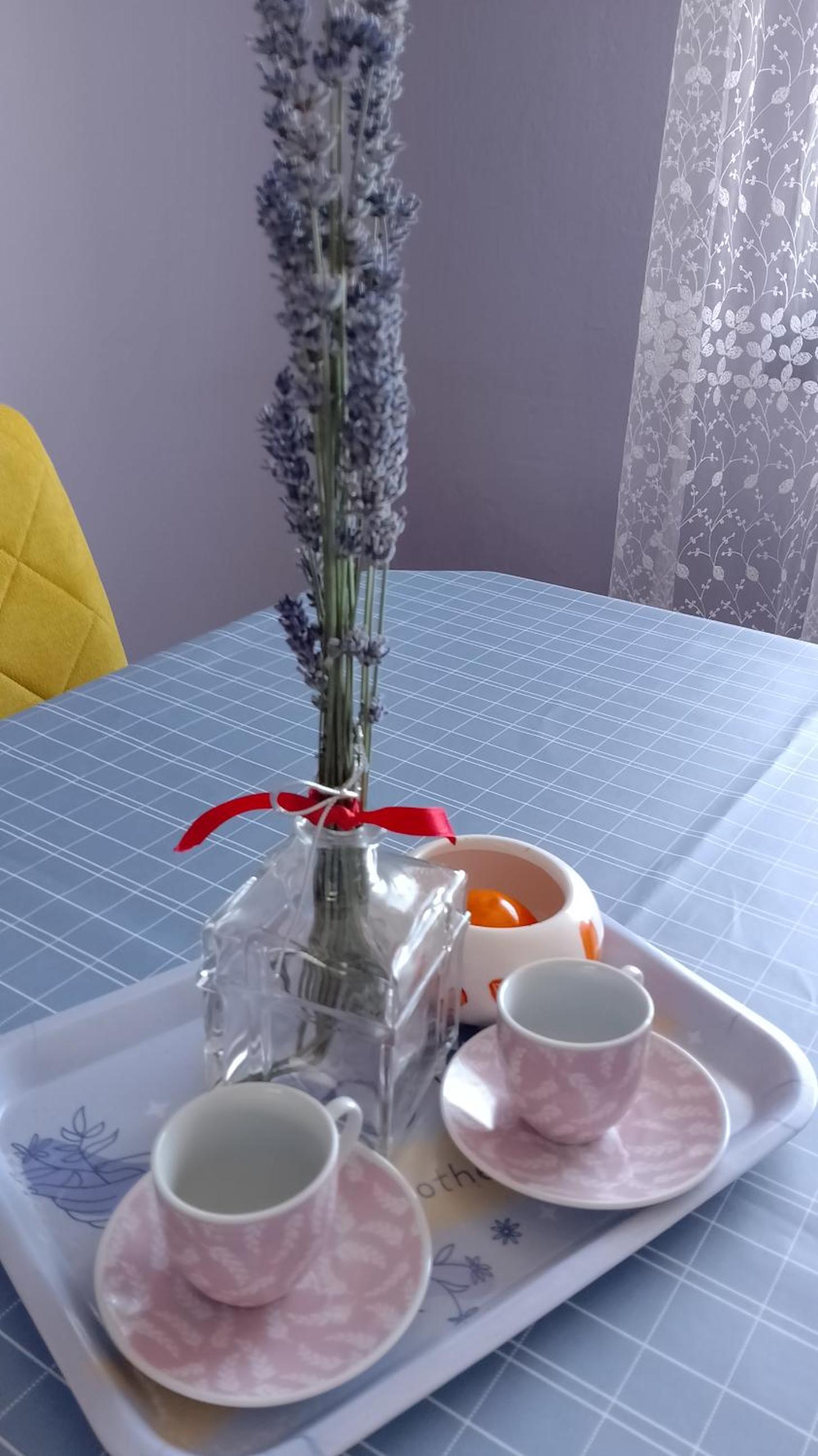 Apartments Aynur