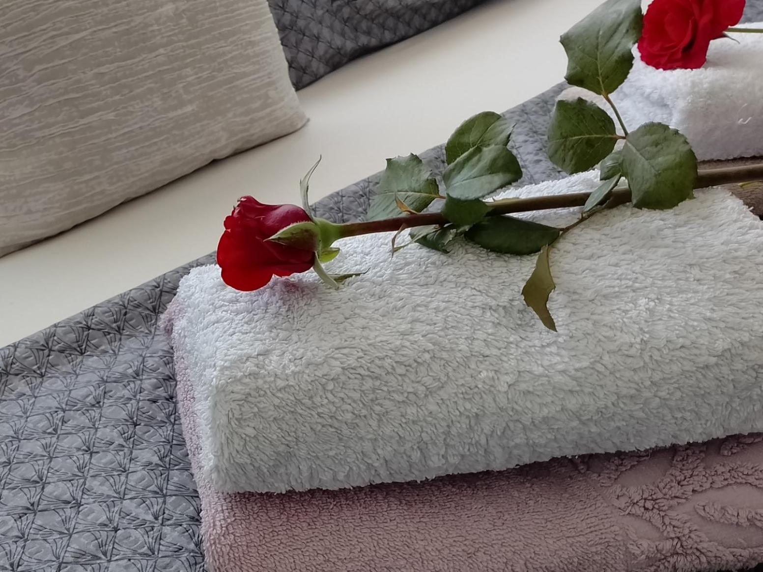 Apartments Aynur