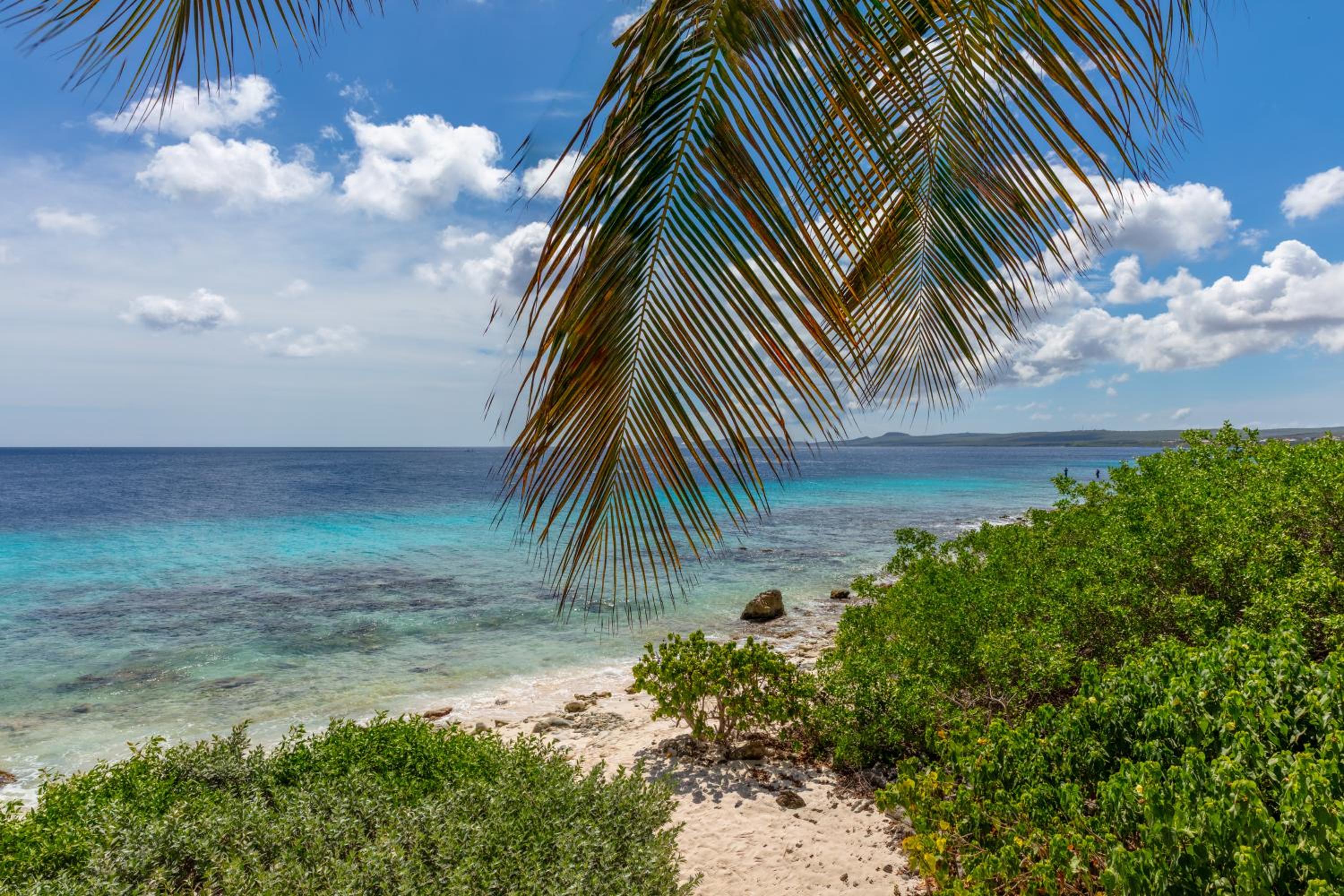 One Ocean Boutique Apartments & Suites Bonaire