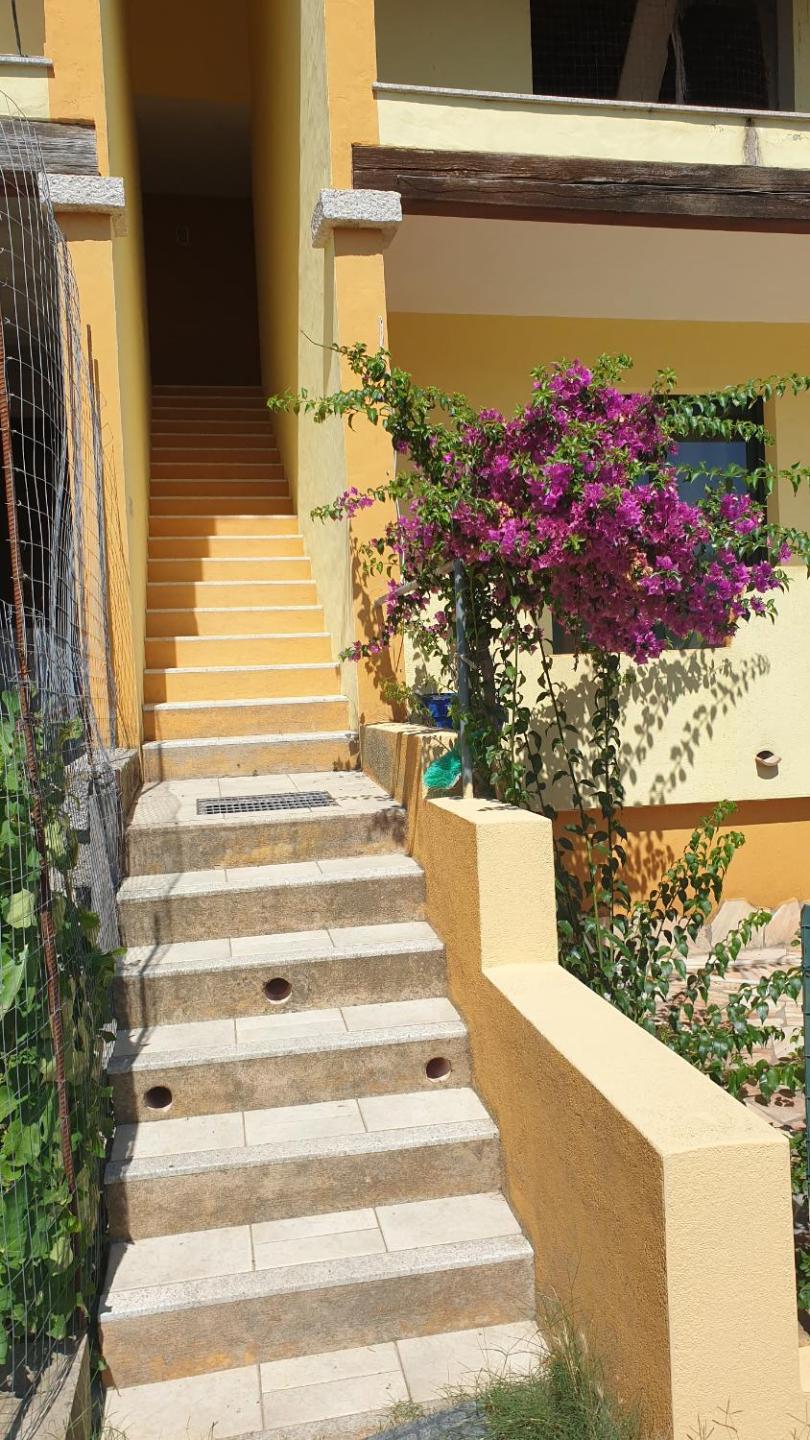 Casa Viola
