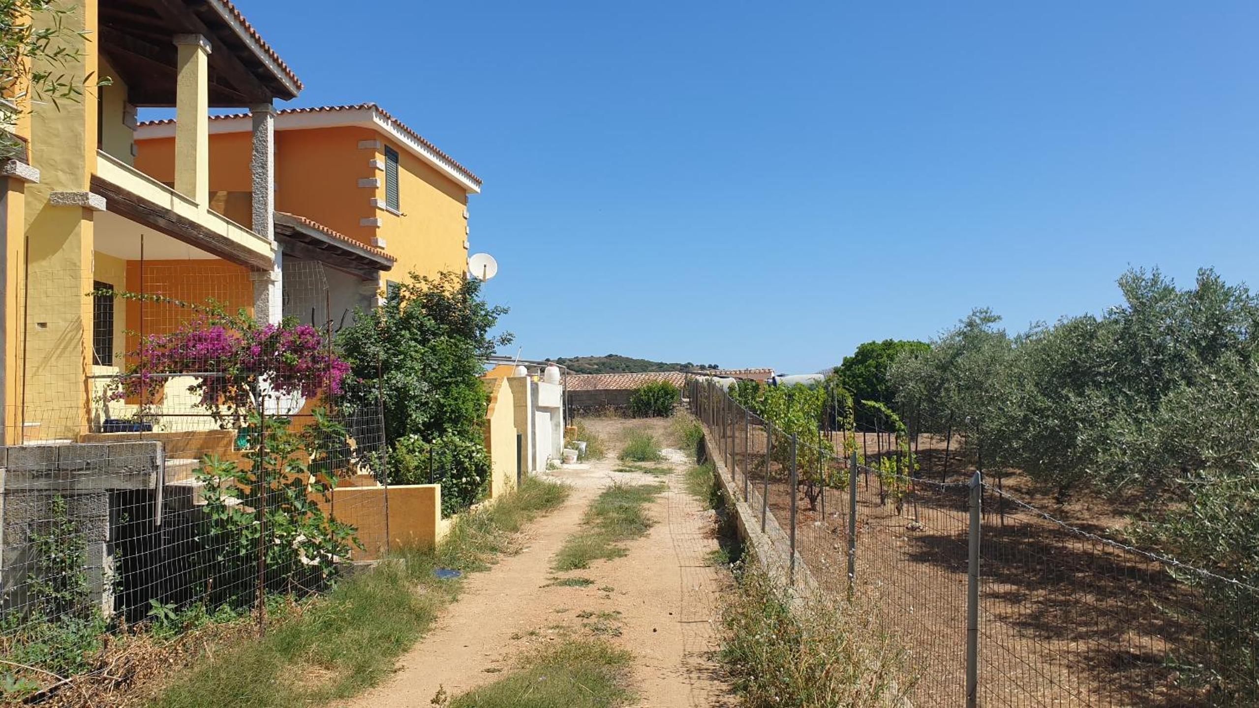 Casa Viola