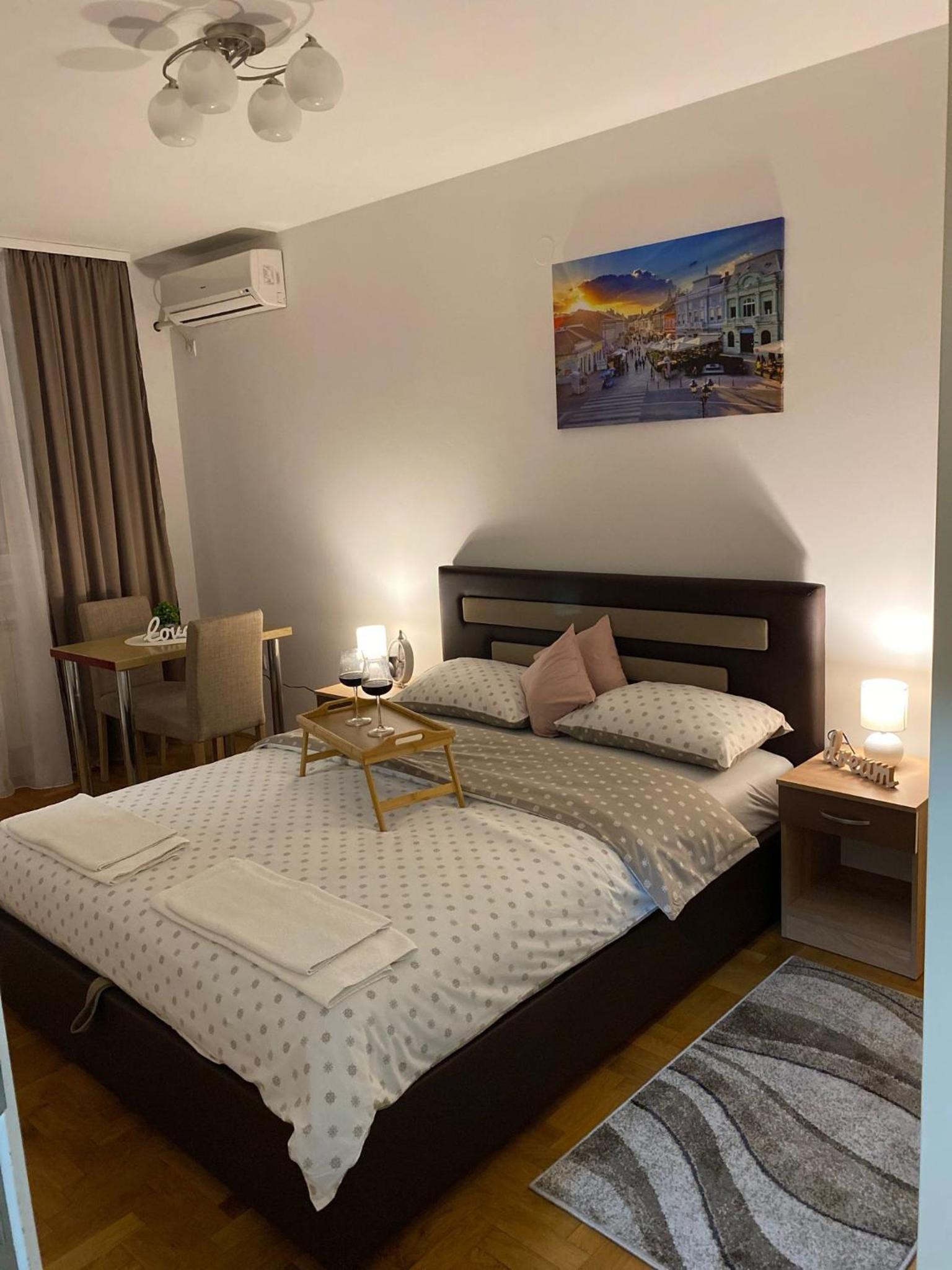 Apartman NS Dan CENTAR view 5