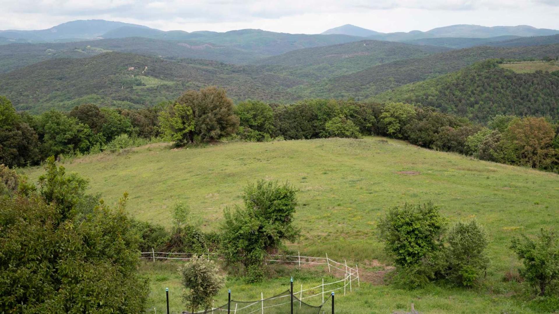 Agriturismo TerraMadre photo 5