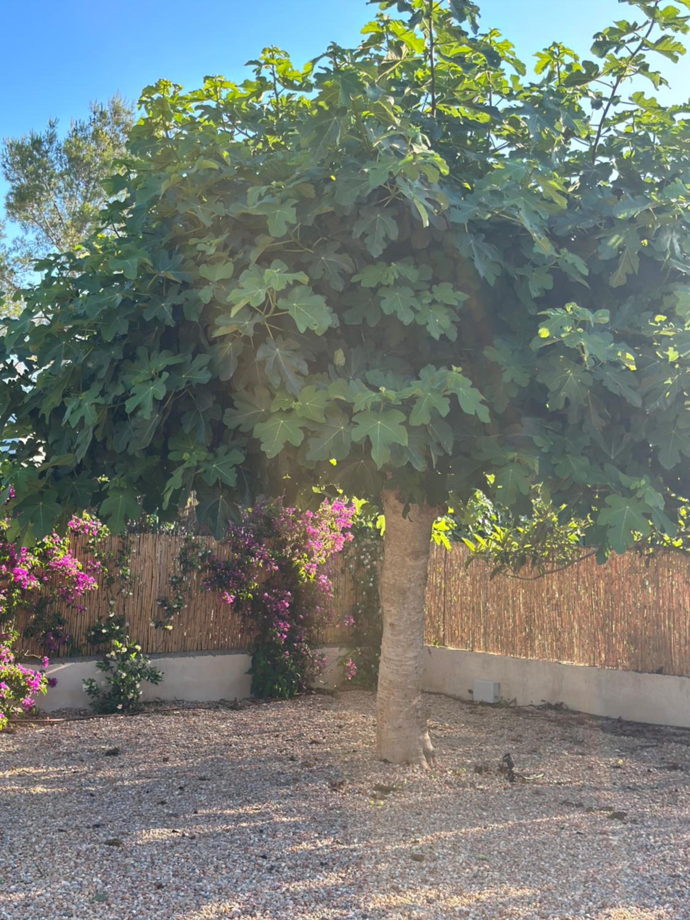 Photo 34