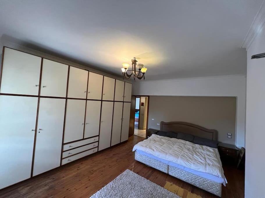 Luxurious apartment for rent