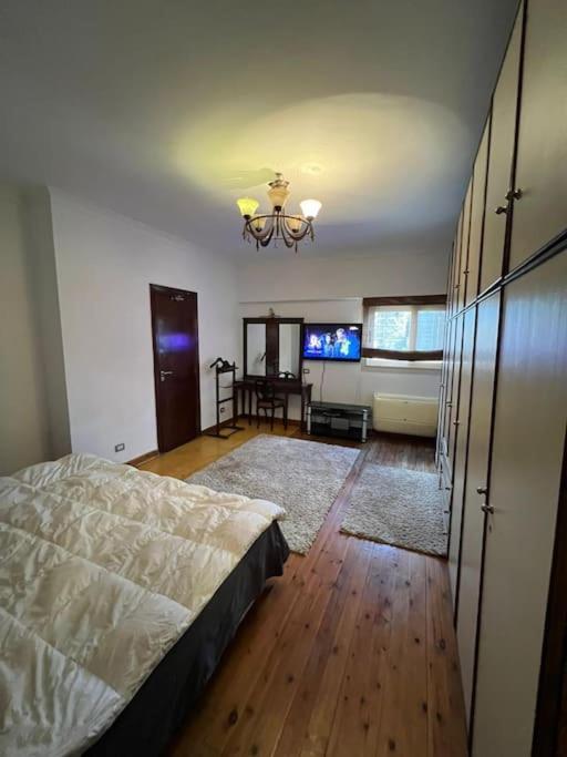 Luxurious apartment for rent