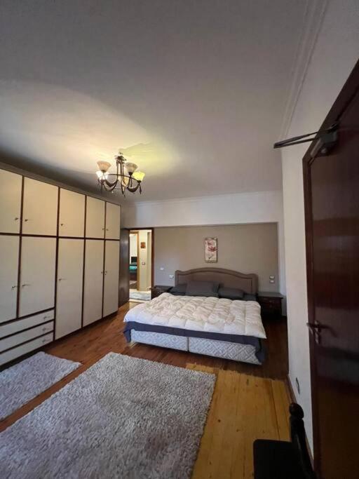 Luxurious apartment for rent