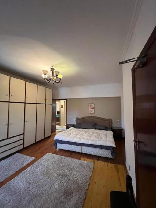 Luxurious apartment for rent