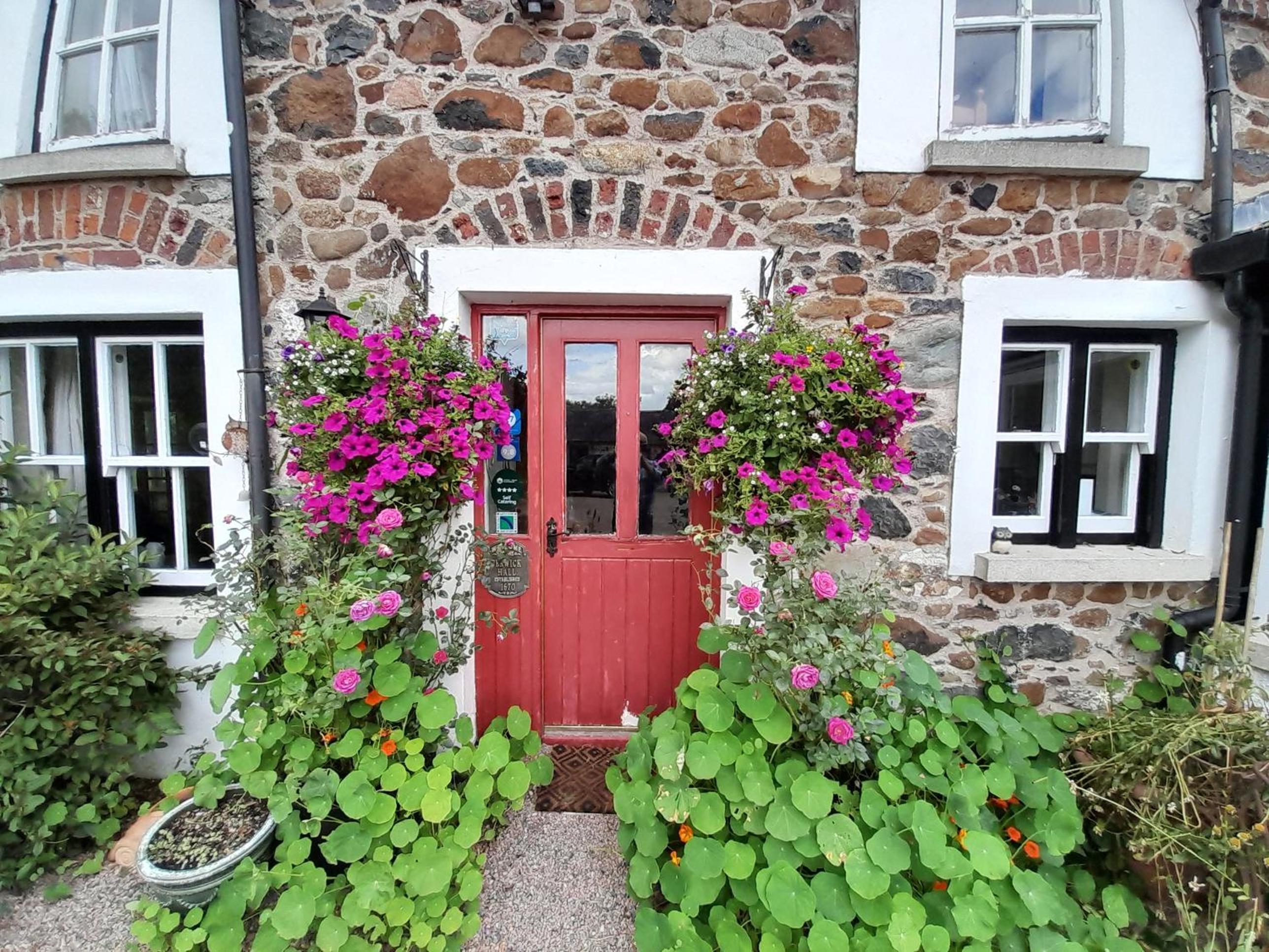 Photo 16