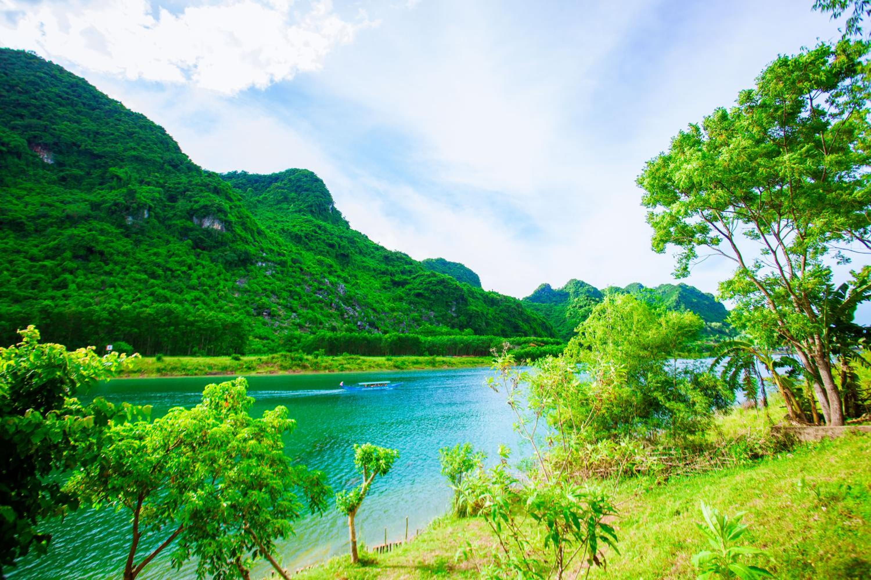 Phong Nha A Little Leaf Homestay