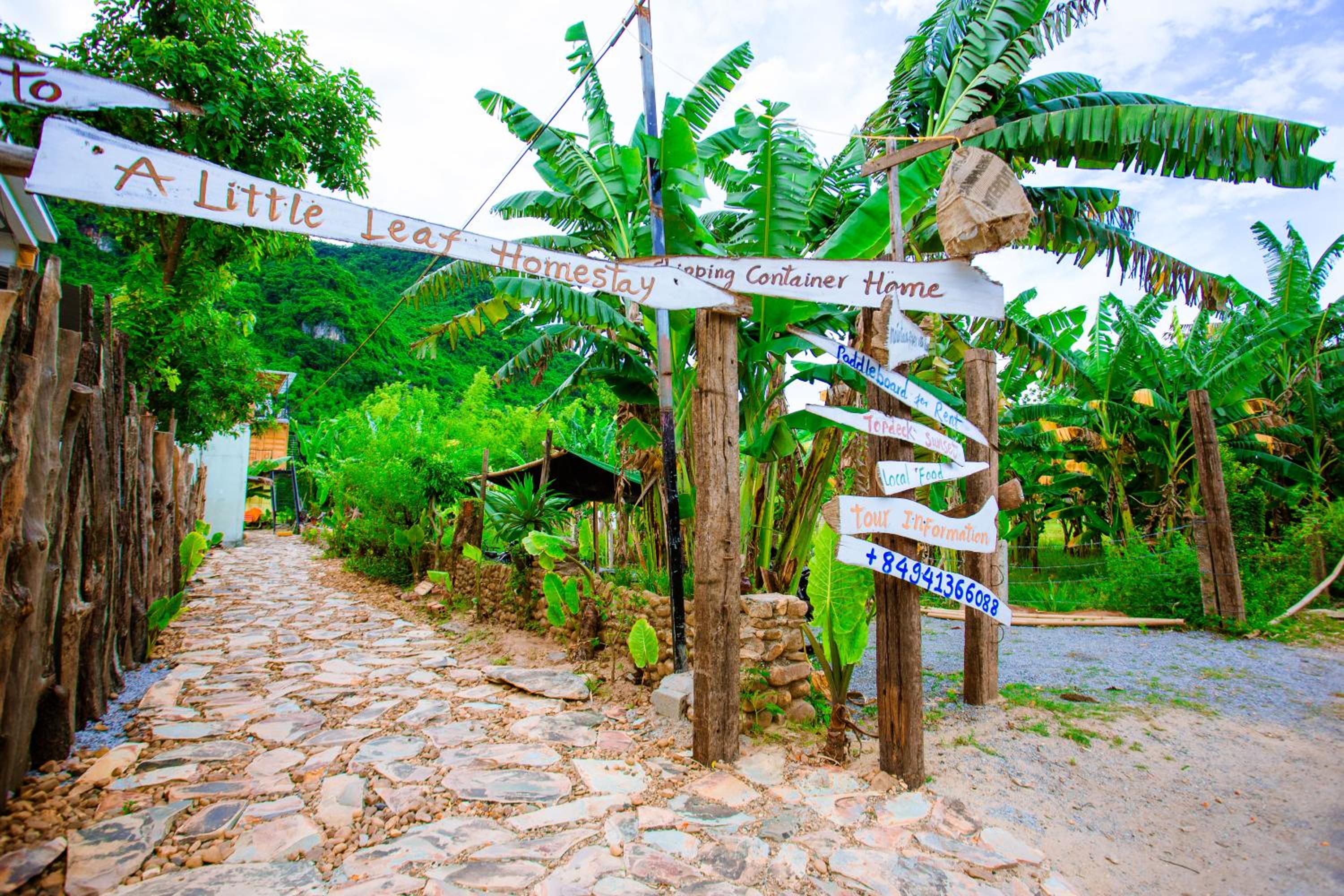 Phong Nha A Little Leaf Homestay