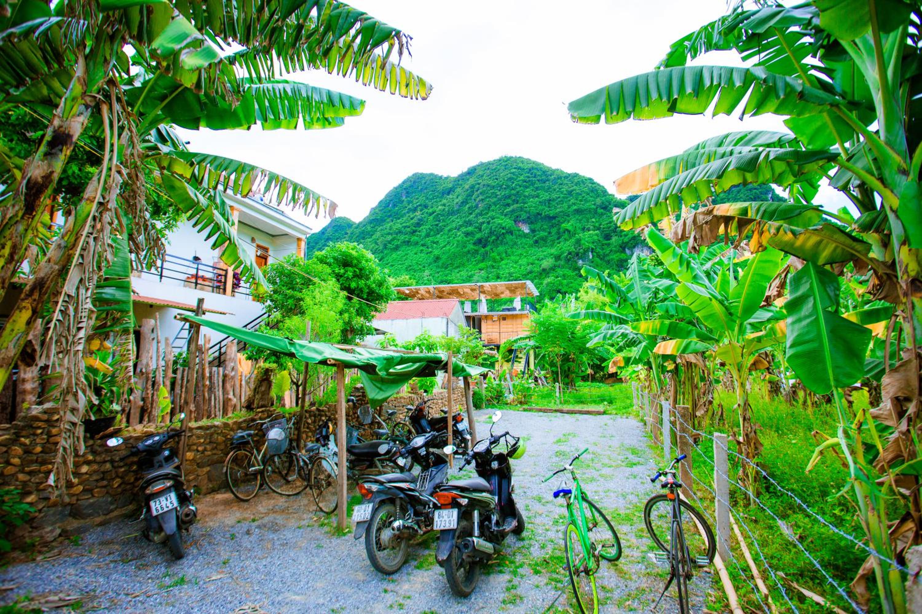 Phong Nha A Little Leaf Homestay