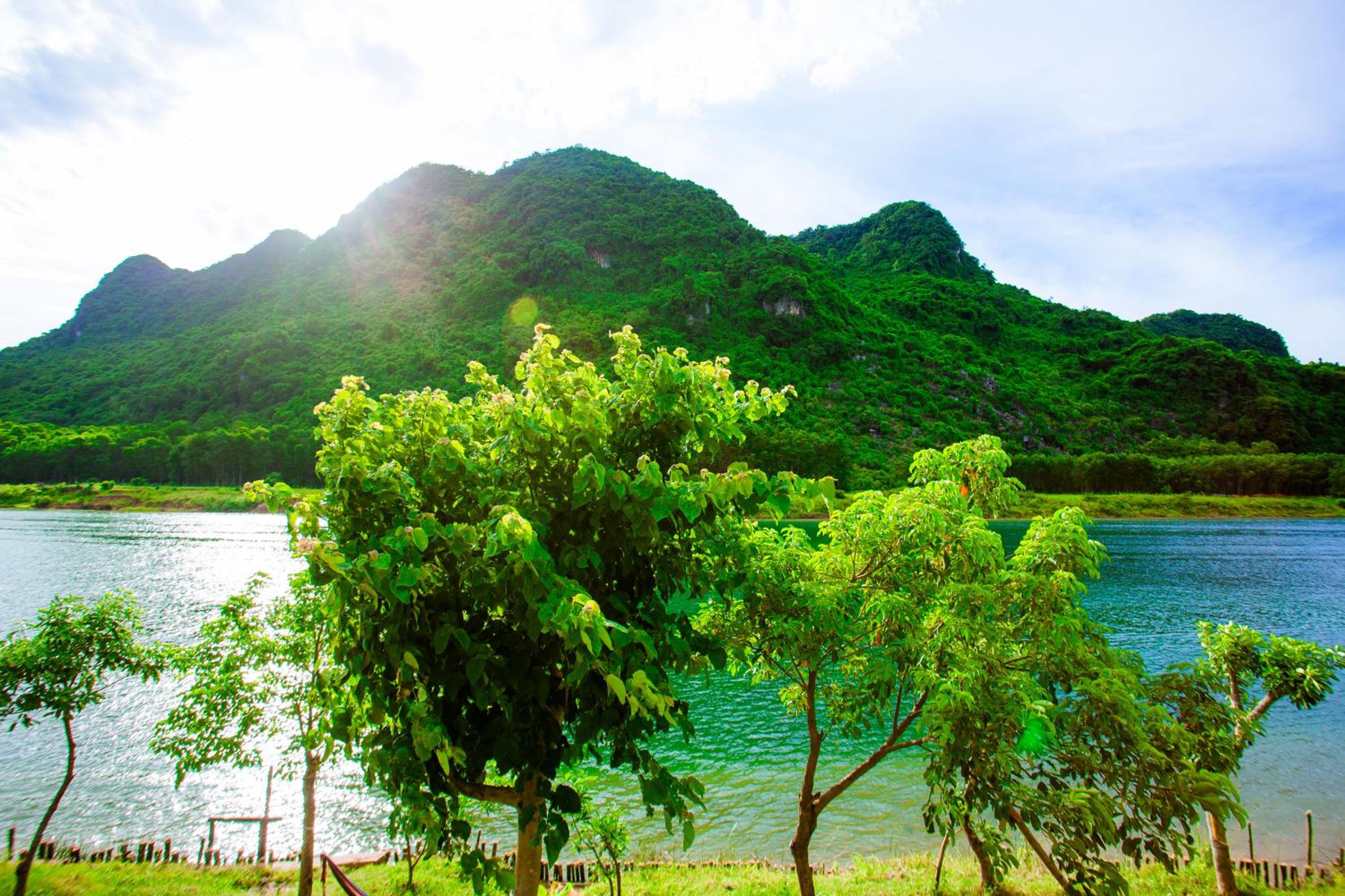 Phong Nha A Little Leaf Homestay