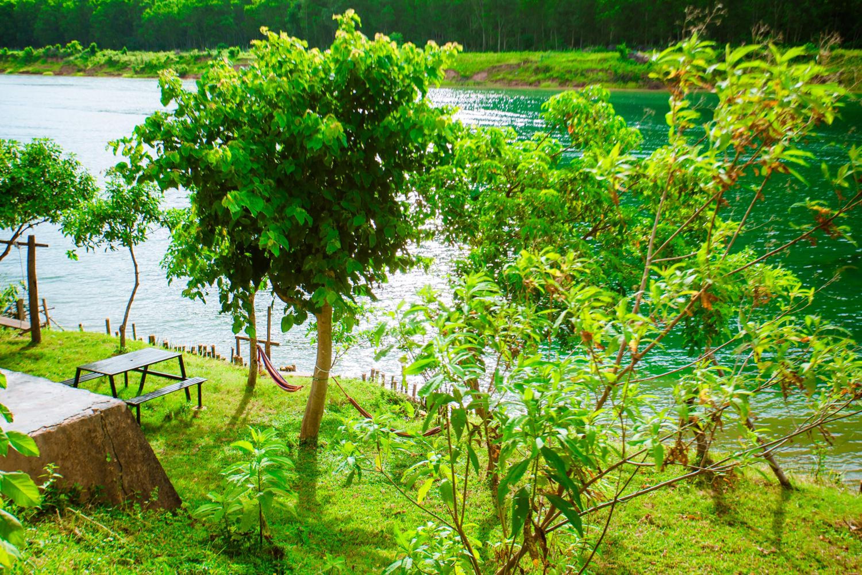 Phong Nha A Little Leaf Homestay