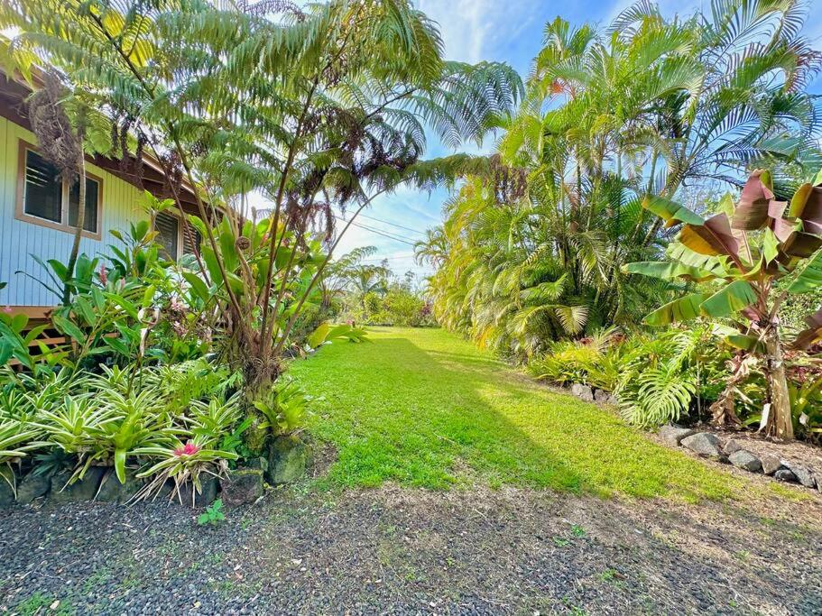 Puna Zen Botanical Garden Retreat view 2