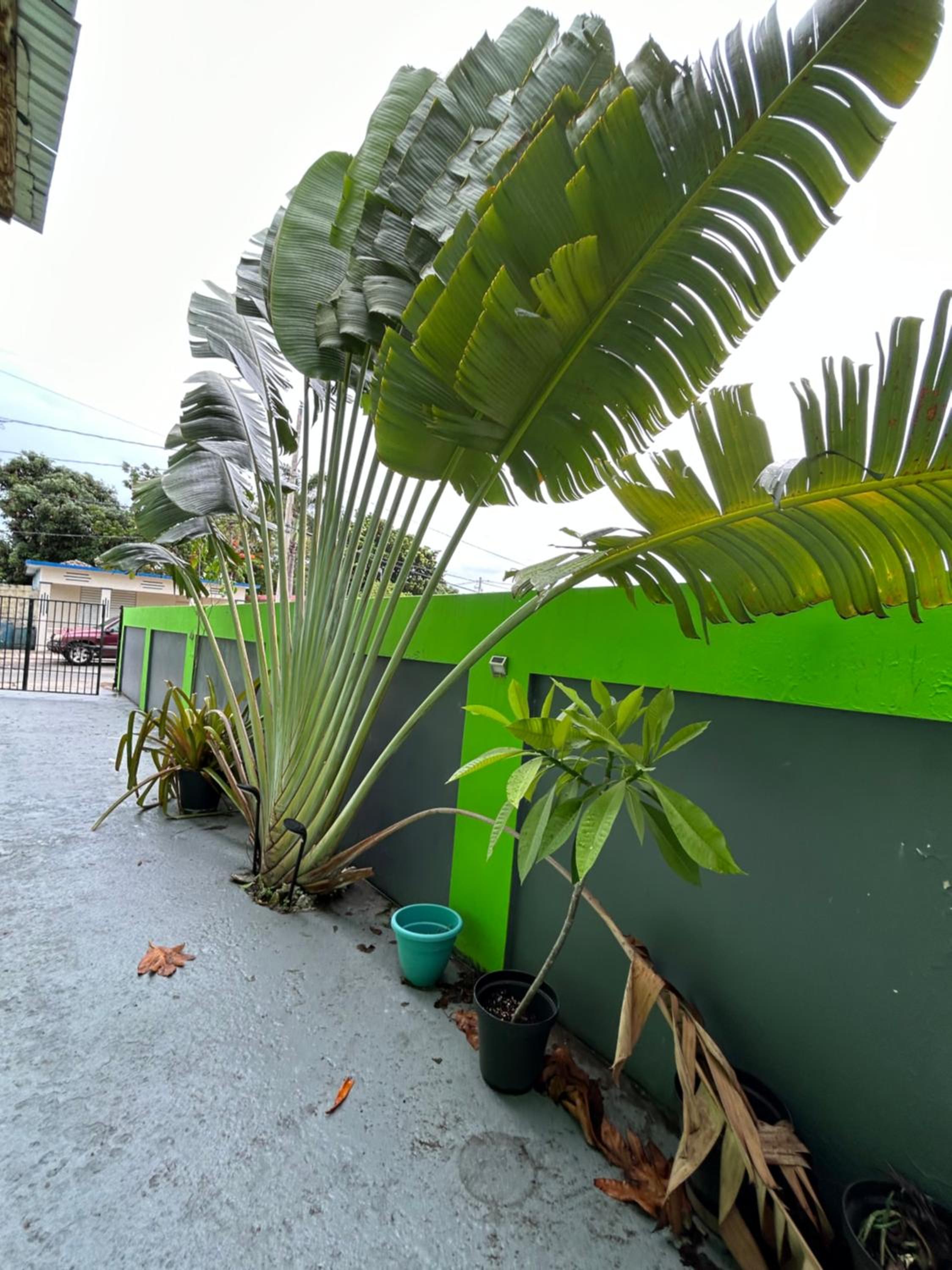 Vieques Good Vibe Guest House