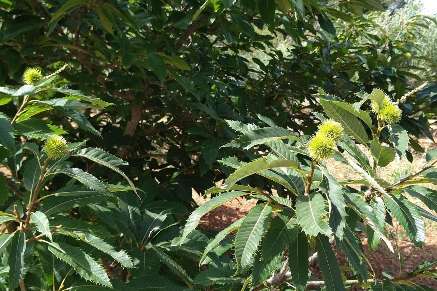 Photo 14