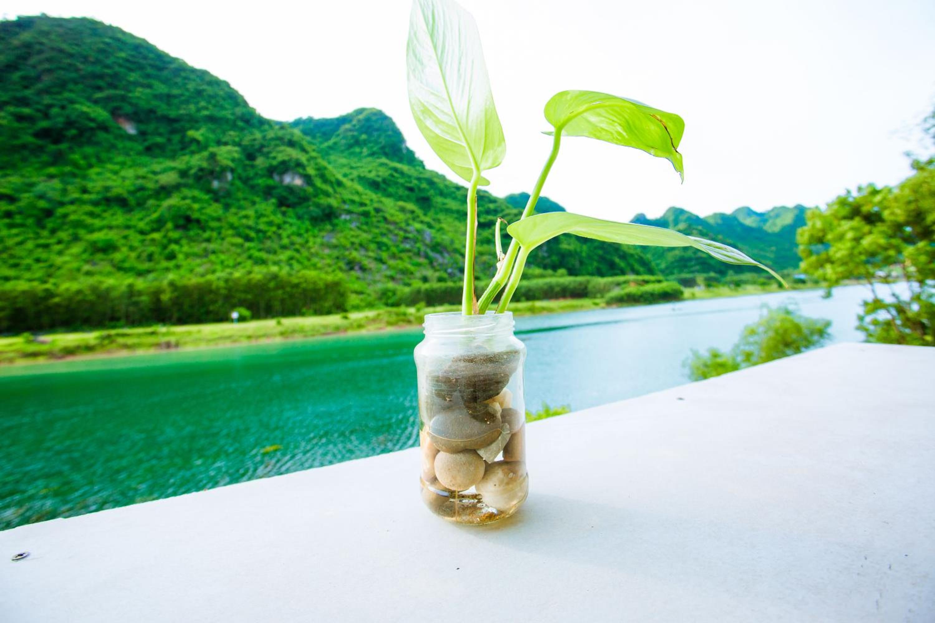 Phong Nha A Little Leaf Homestay