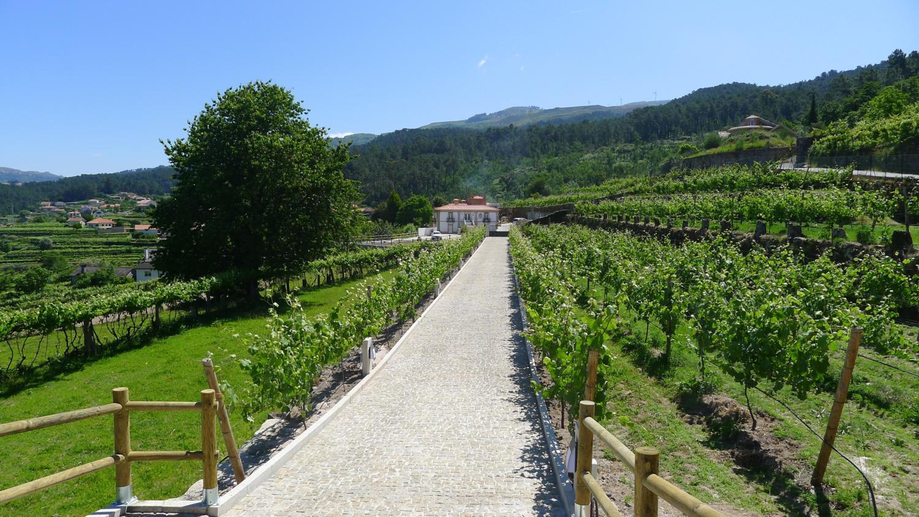 Casa de Ladreda