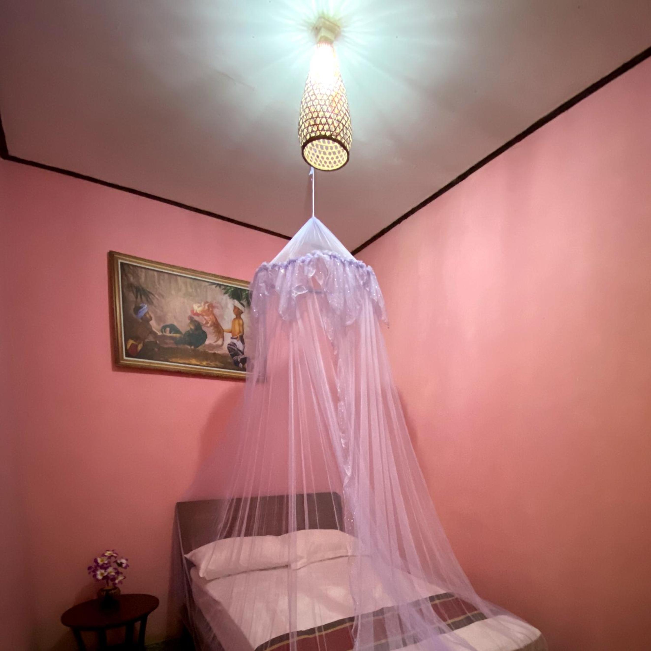 Homestay Sente