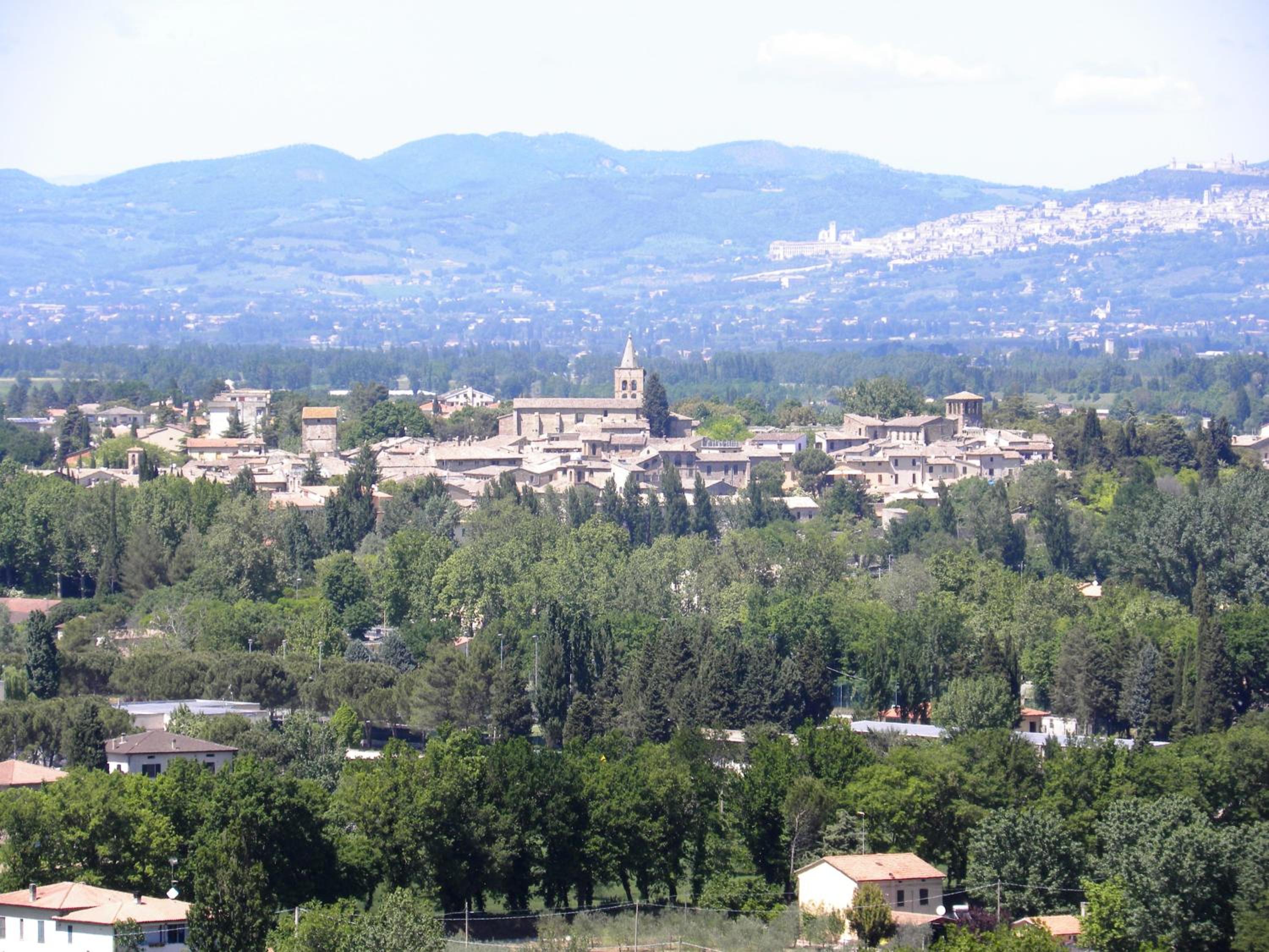 Photo 43