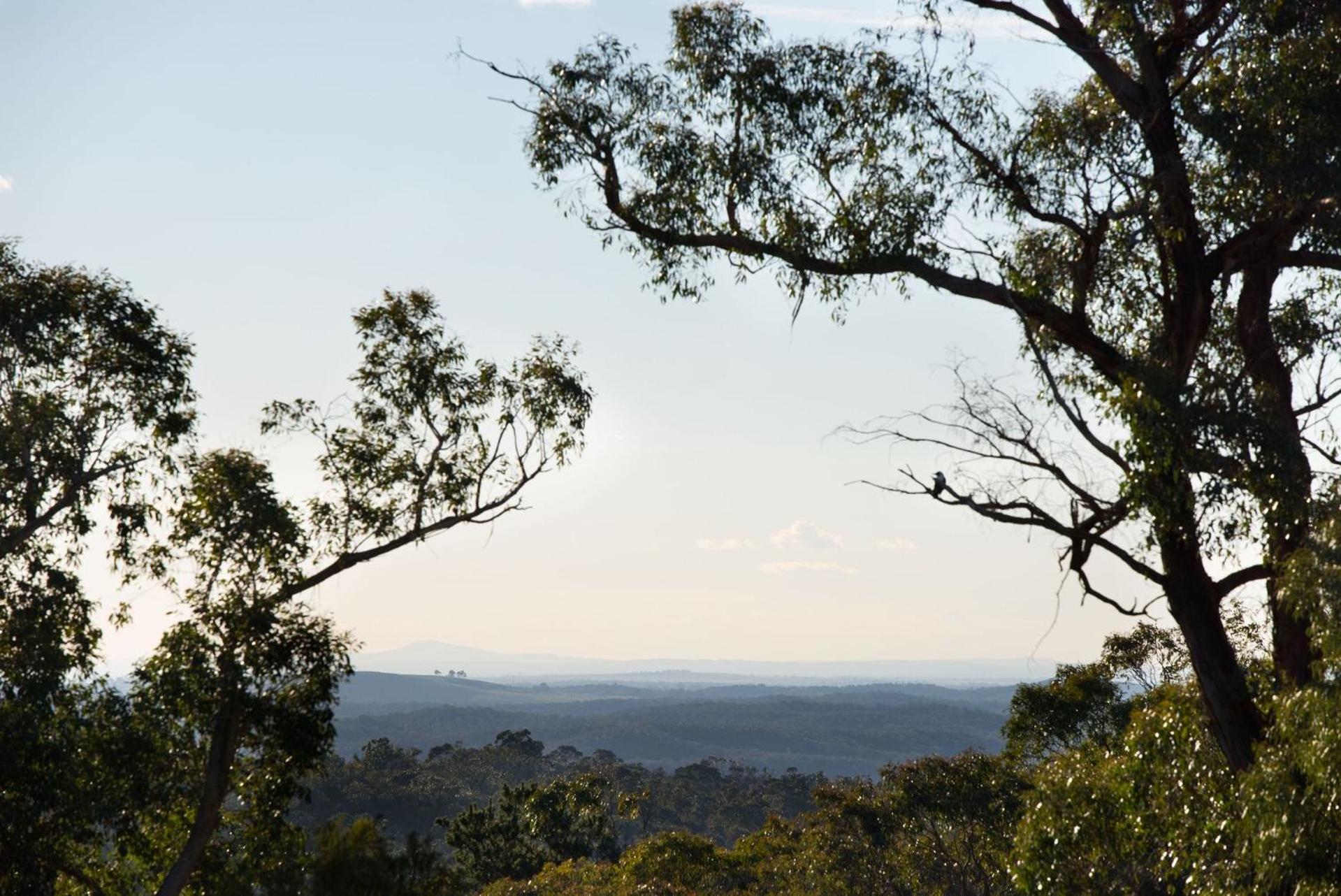Barwidgee