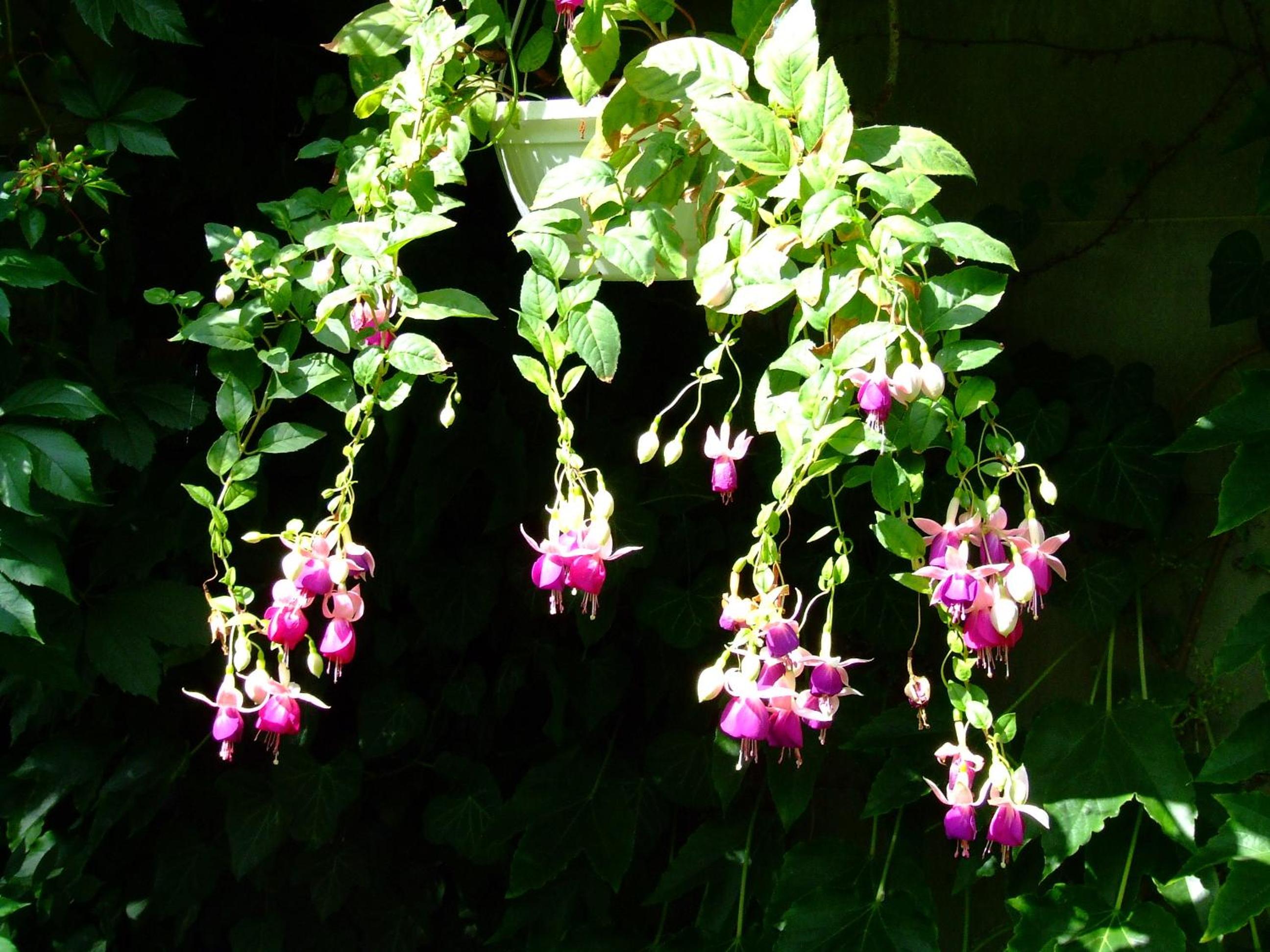 Photo 25