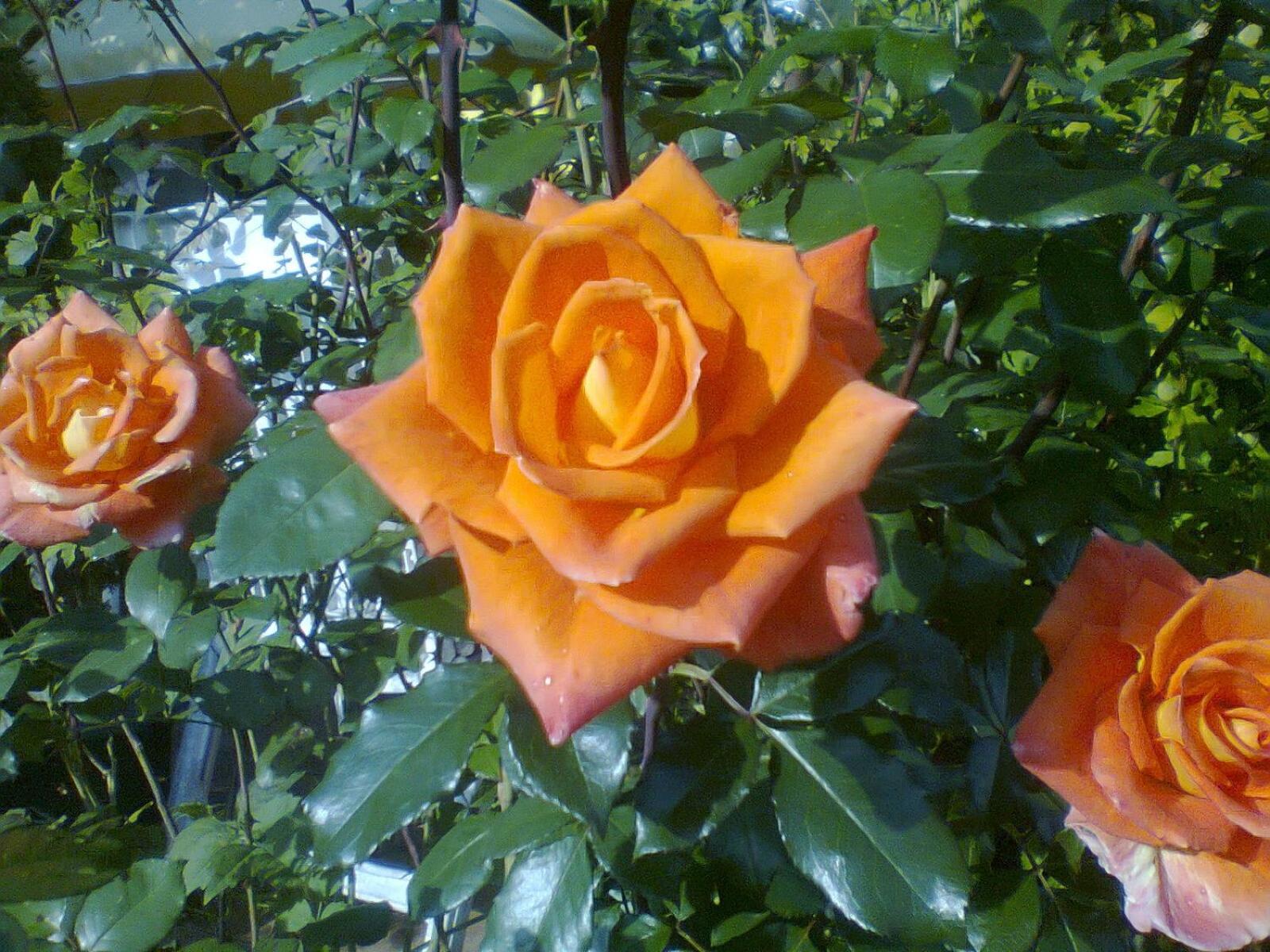 Photo 28