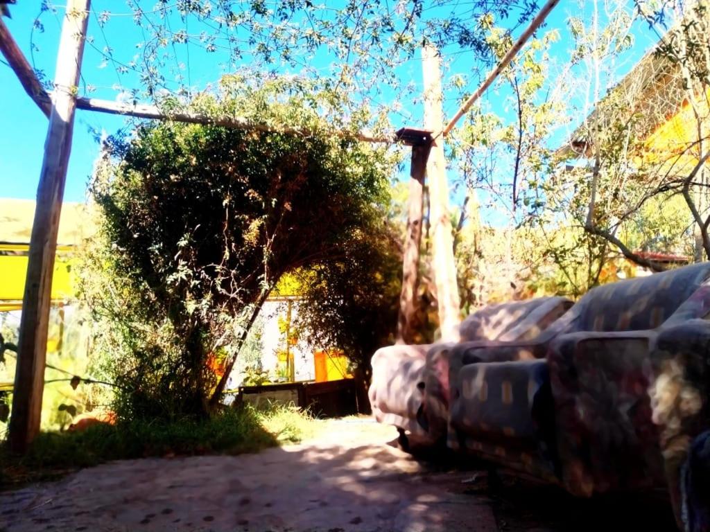 Photo 24