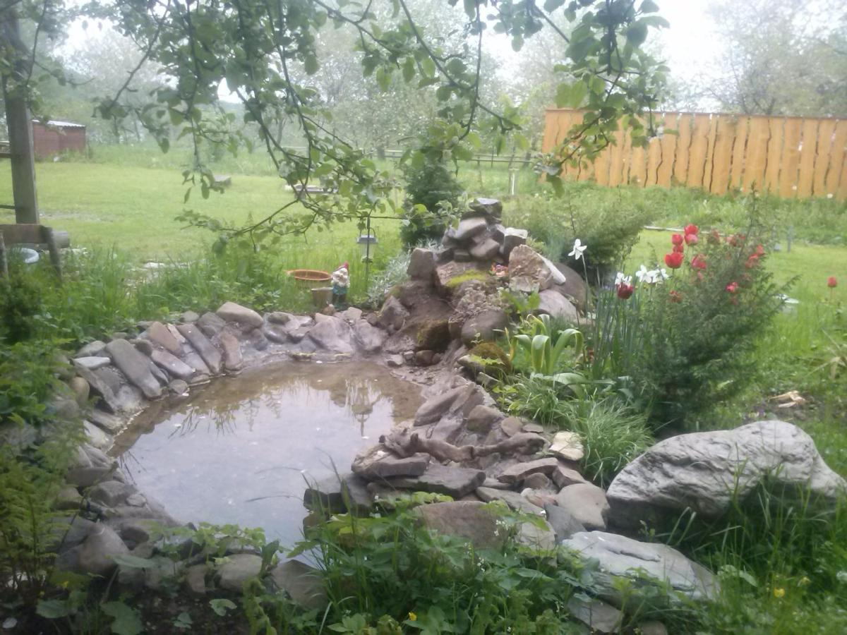 Photo 71