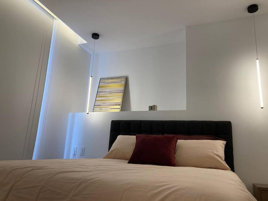 Confort suite La Carolina