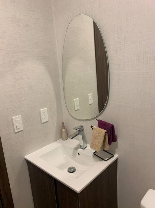 Confort suite La Carolina
