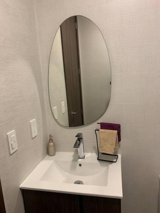Confort suite La Carolina