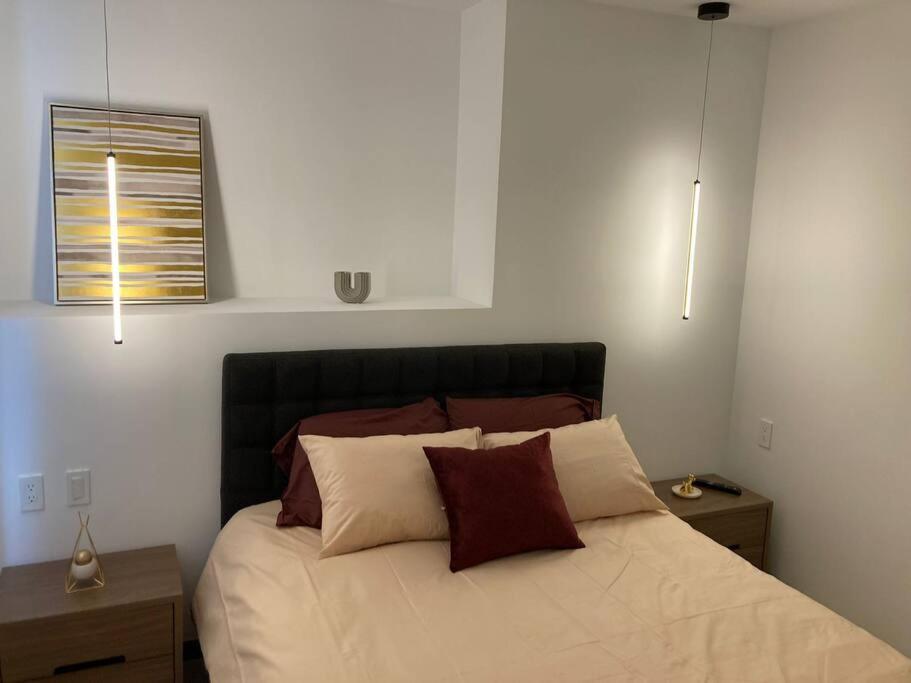 Confort suite La Carolina