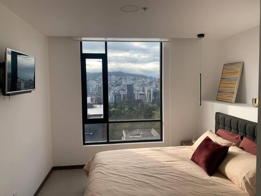 Confort suite La Carolina