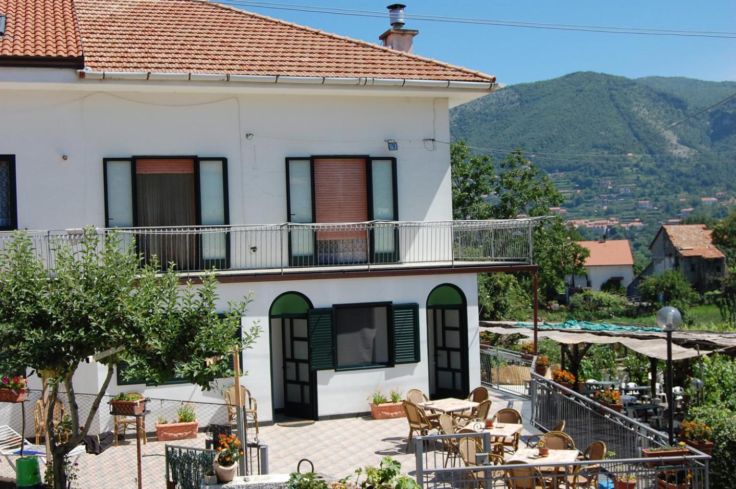 Hotel Rabbit - Image 1