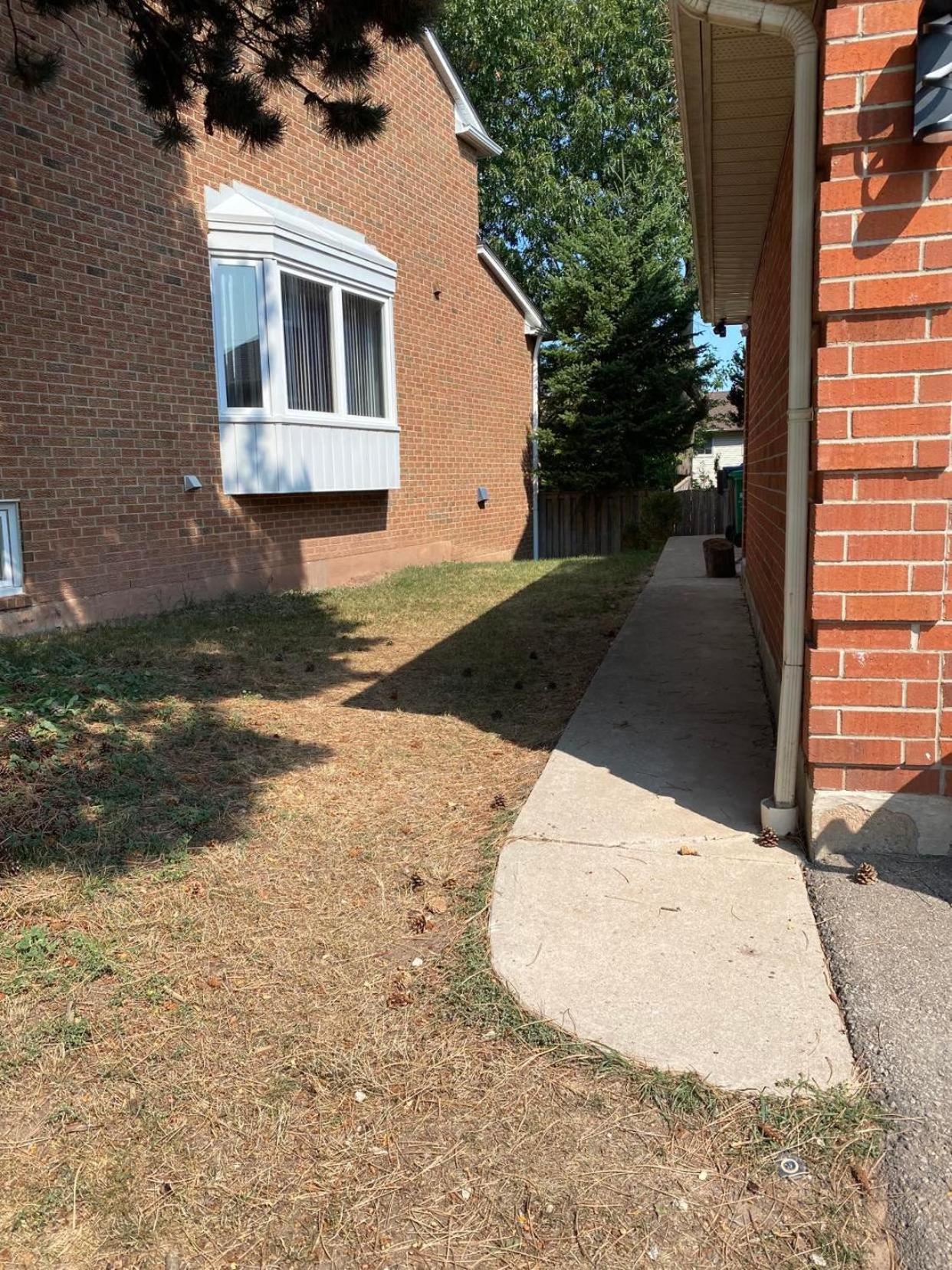 Relaxing 3 Bedroom Basement Stay