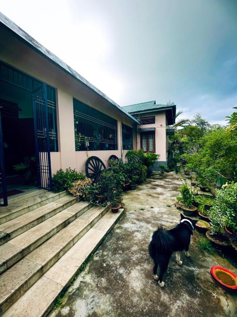 Namdang Homestay