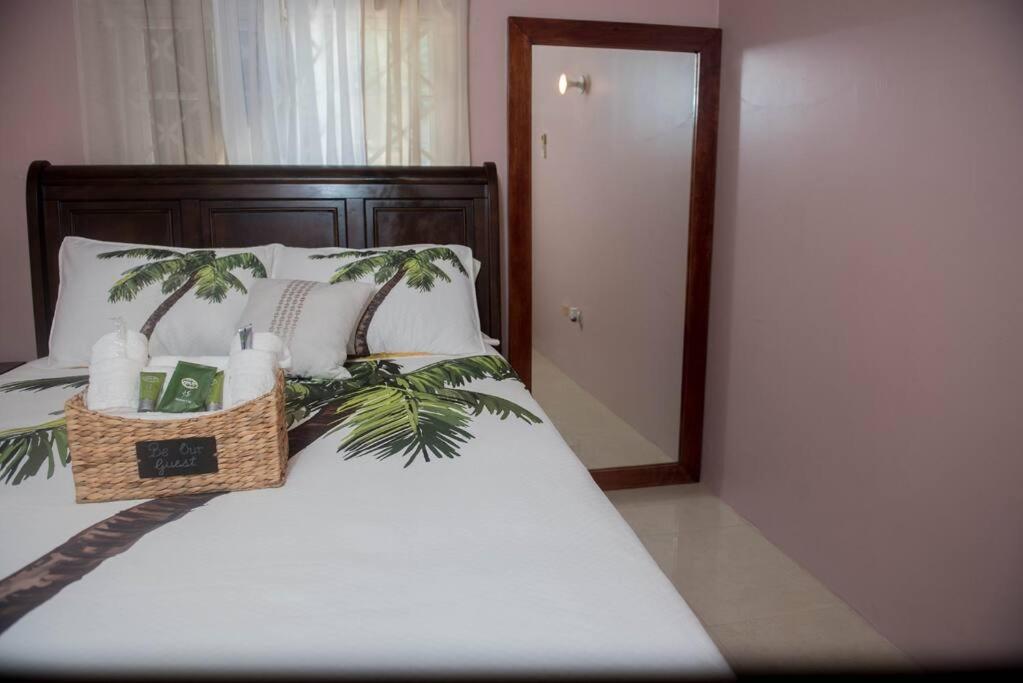 Montego Bay Island Home Near Beach airport view 4