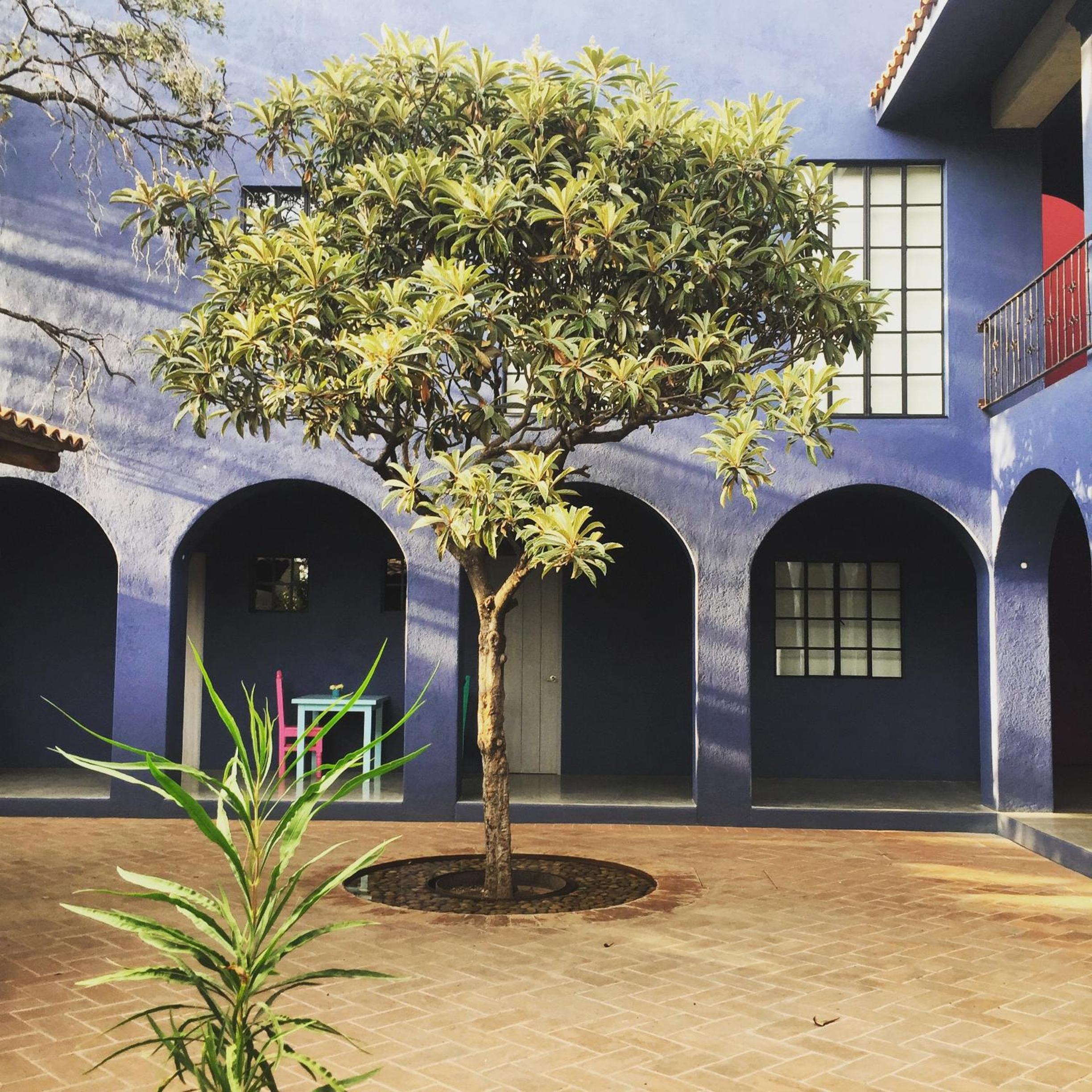 La Betulia Bed and Breakfast view 2