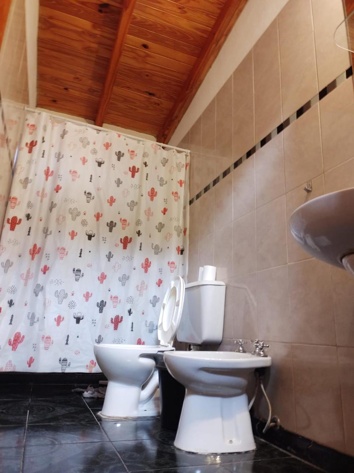 BONITA CASA en SAN RAFAEL MENDOZA a metros de LABERINTO DE BORGES