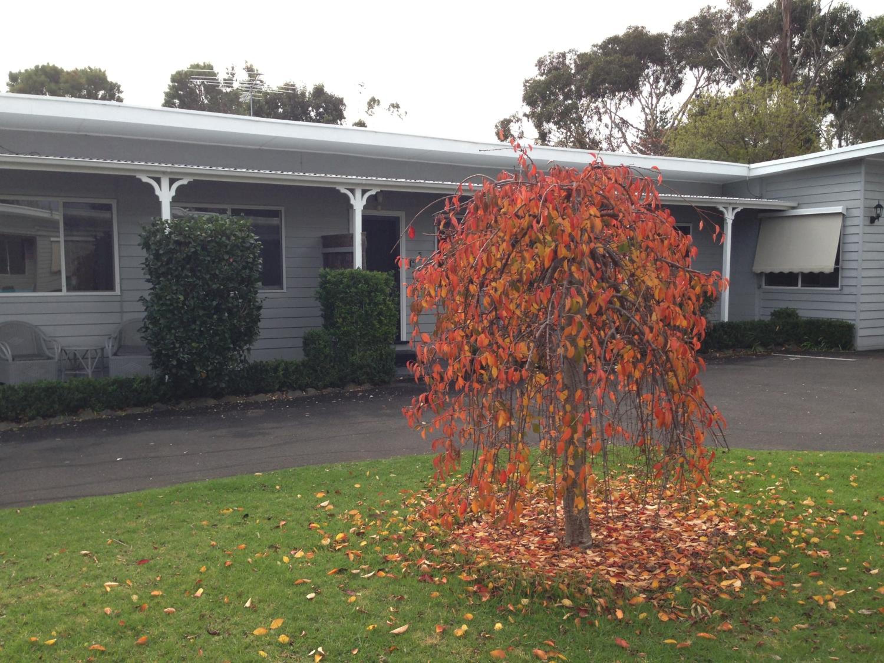 Phillip Island Cottages