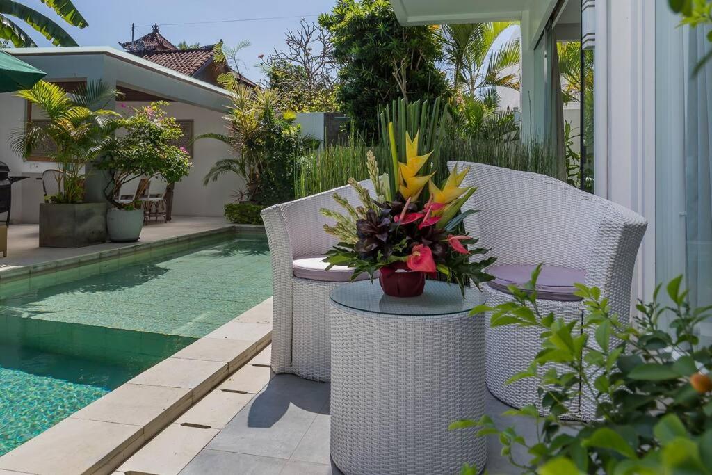Villa Serenity: modern design luxury 12m pool and BBQ view 3